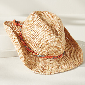Made in<br>the Shade</br>