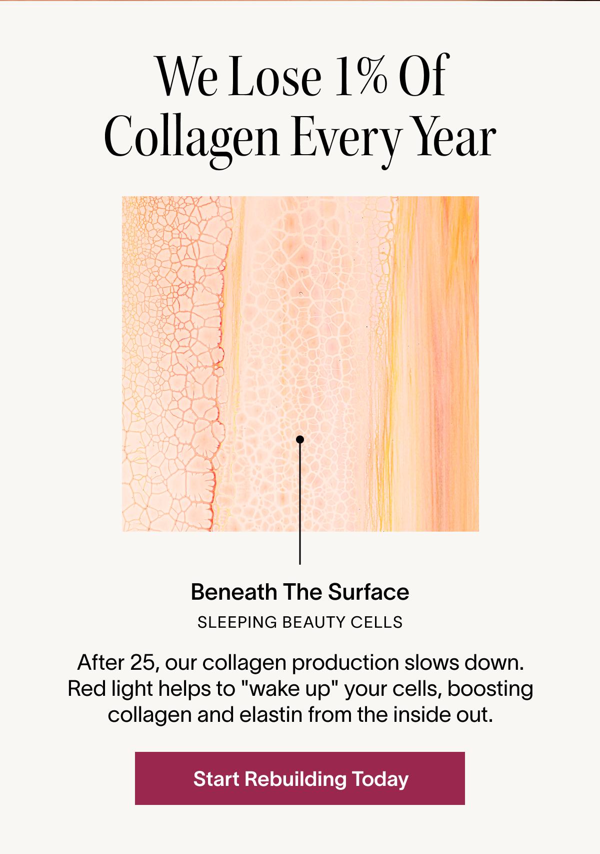 We Lose 1% Of Collagen Every Year