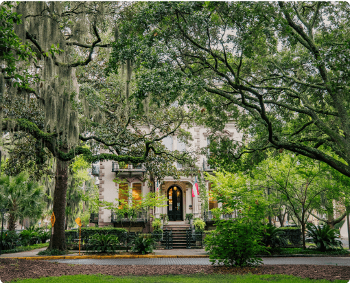 Savannah