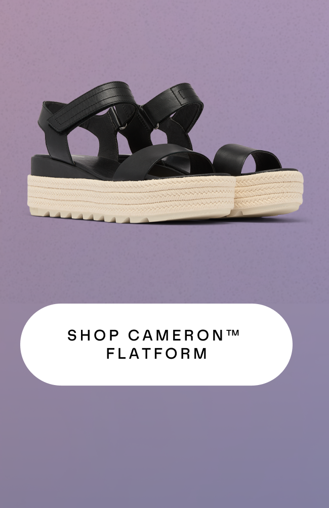 Cameron Flatform