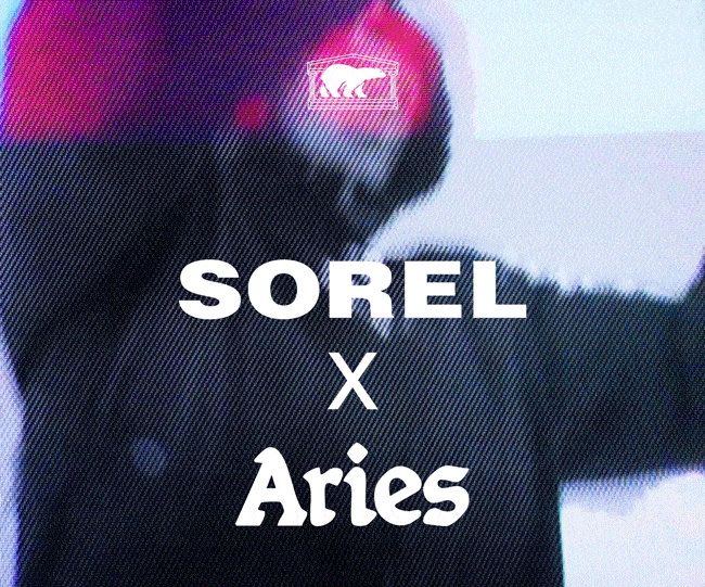 ARIES Launch