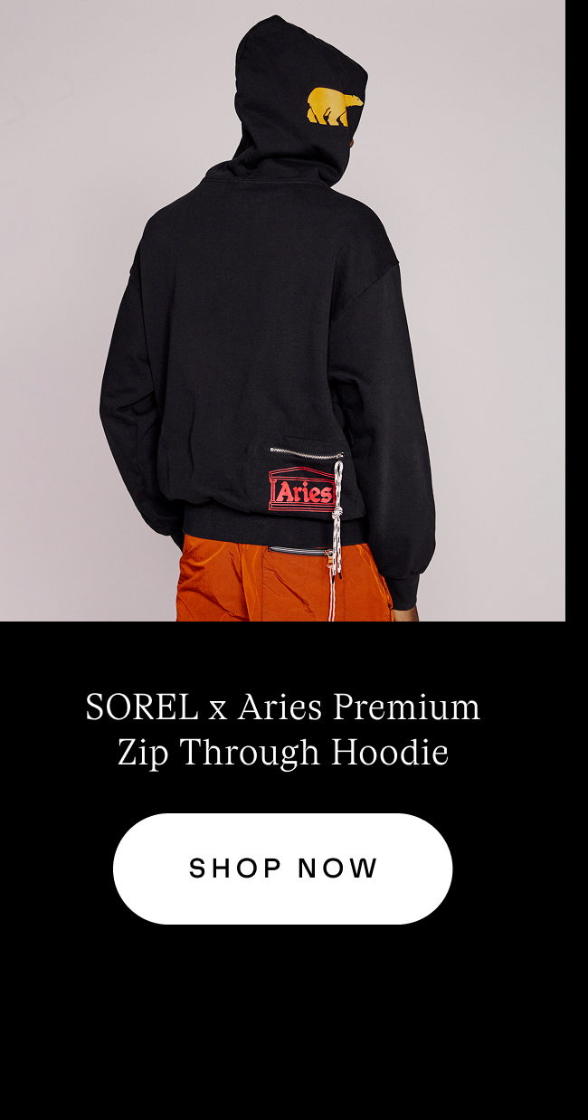 ARIES LAunch