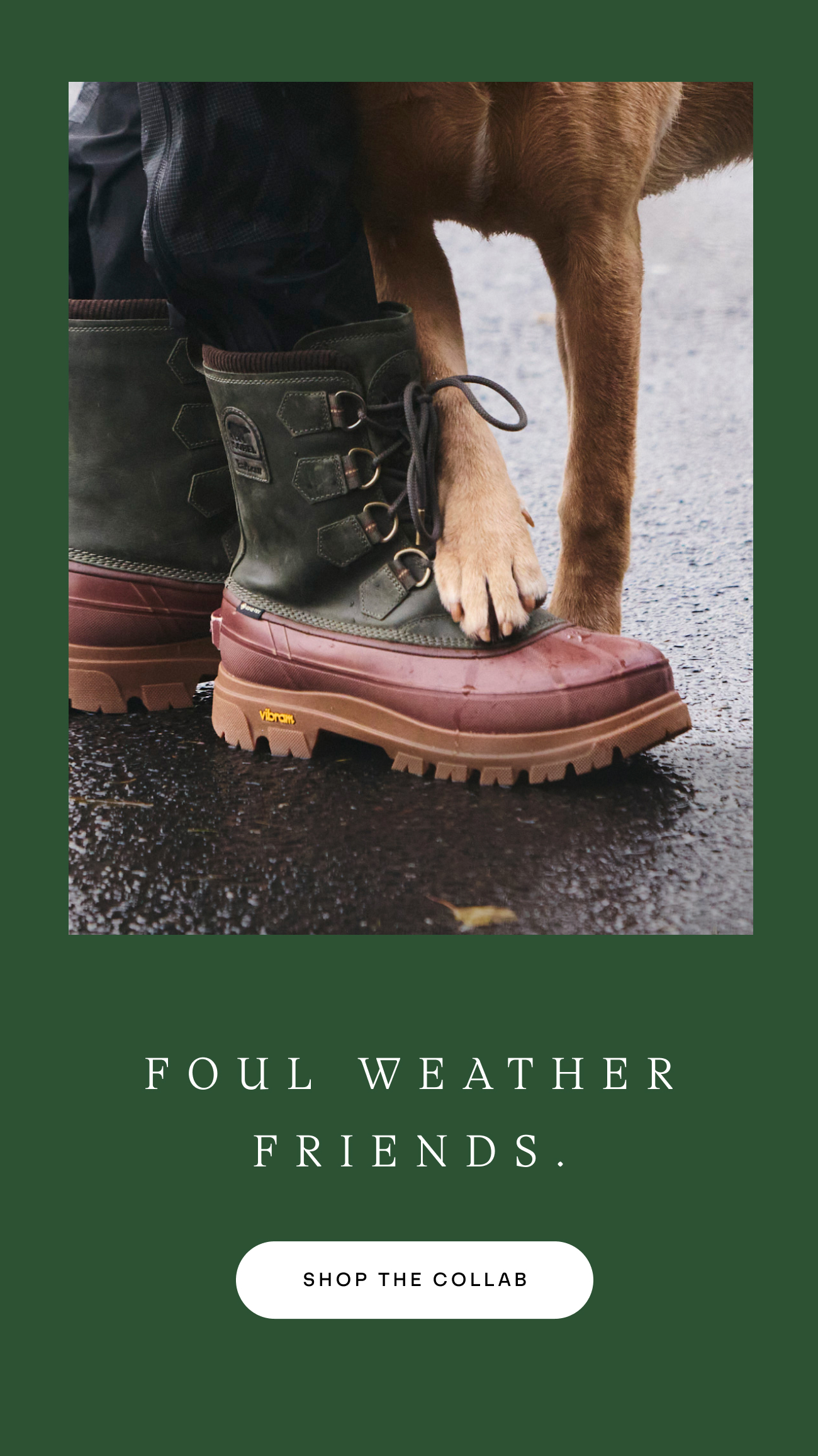 Barbour