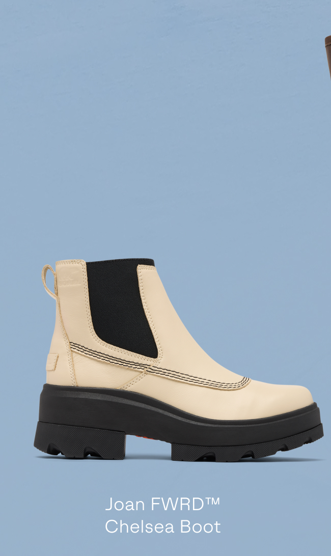 Shoe