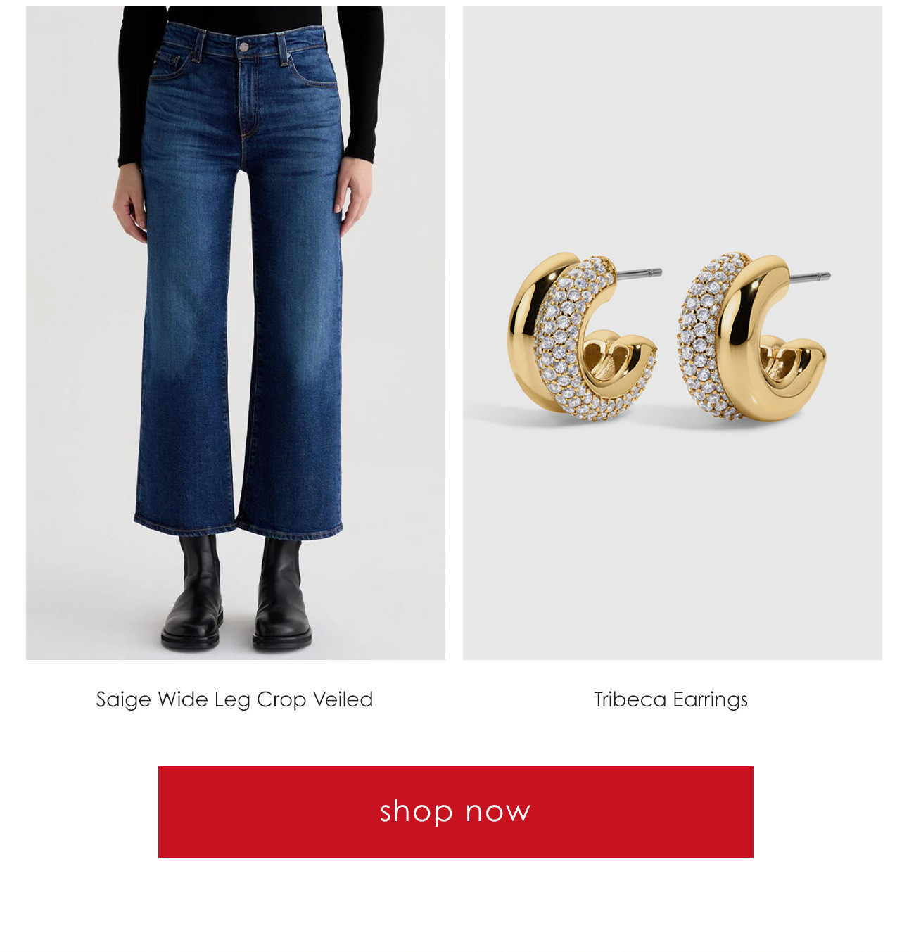 Saige Wide Leg Crop Veiled // Tribeca Earrings