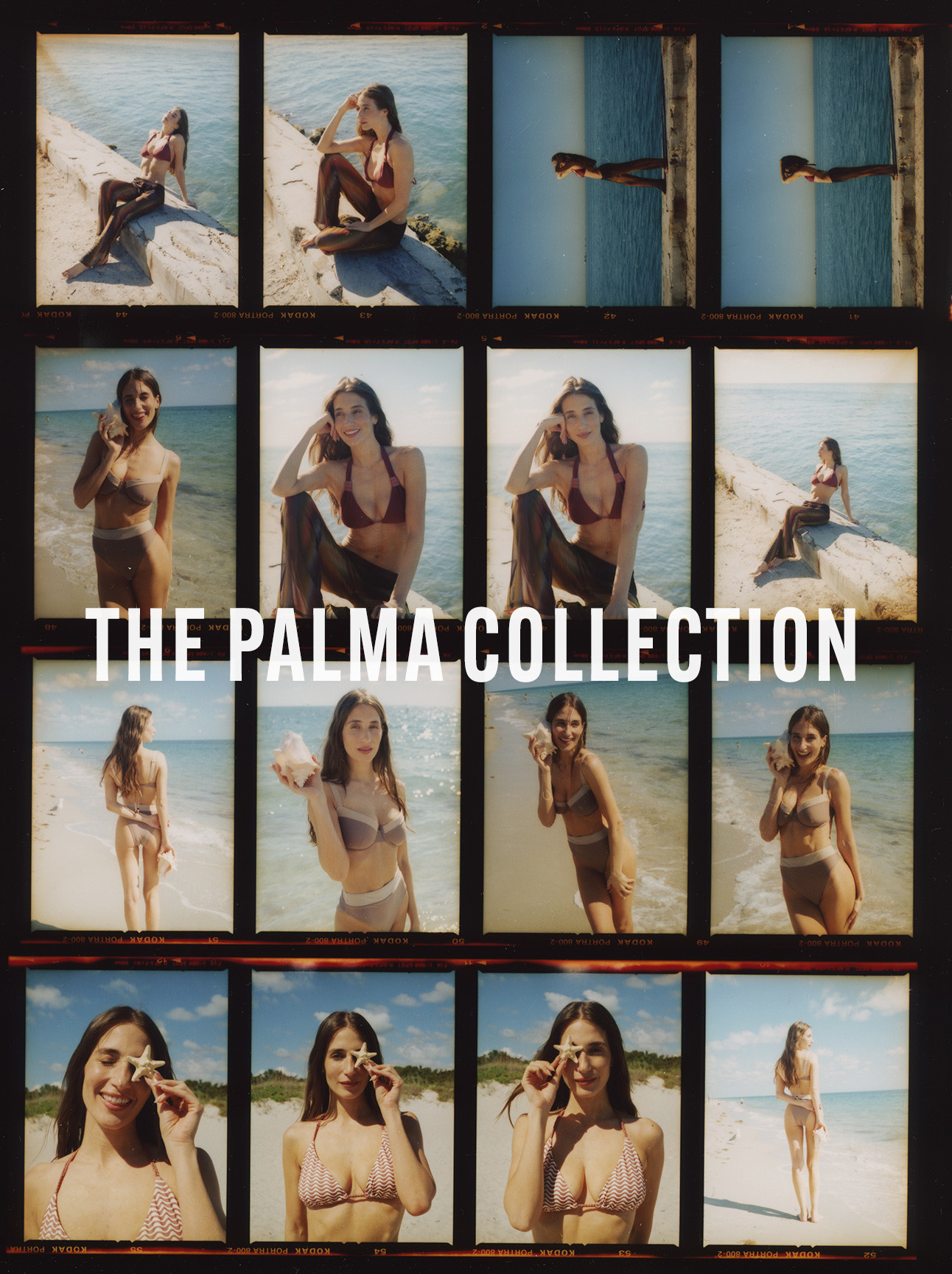THE PALMA COLLECTION