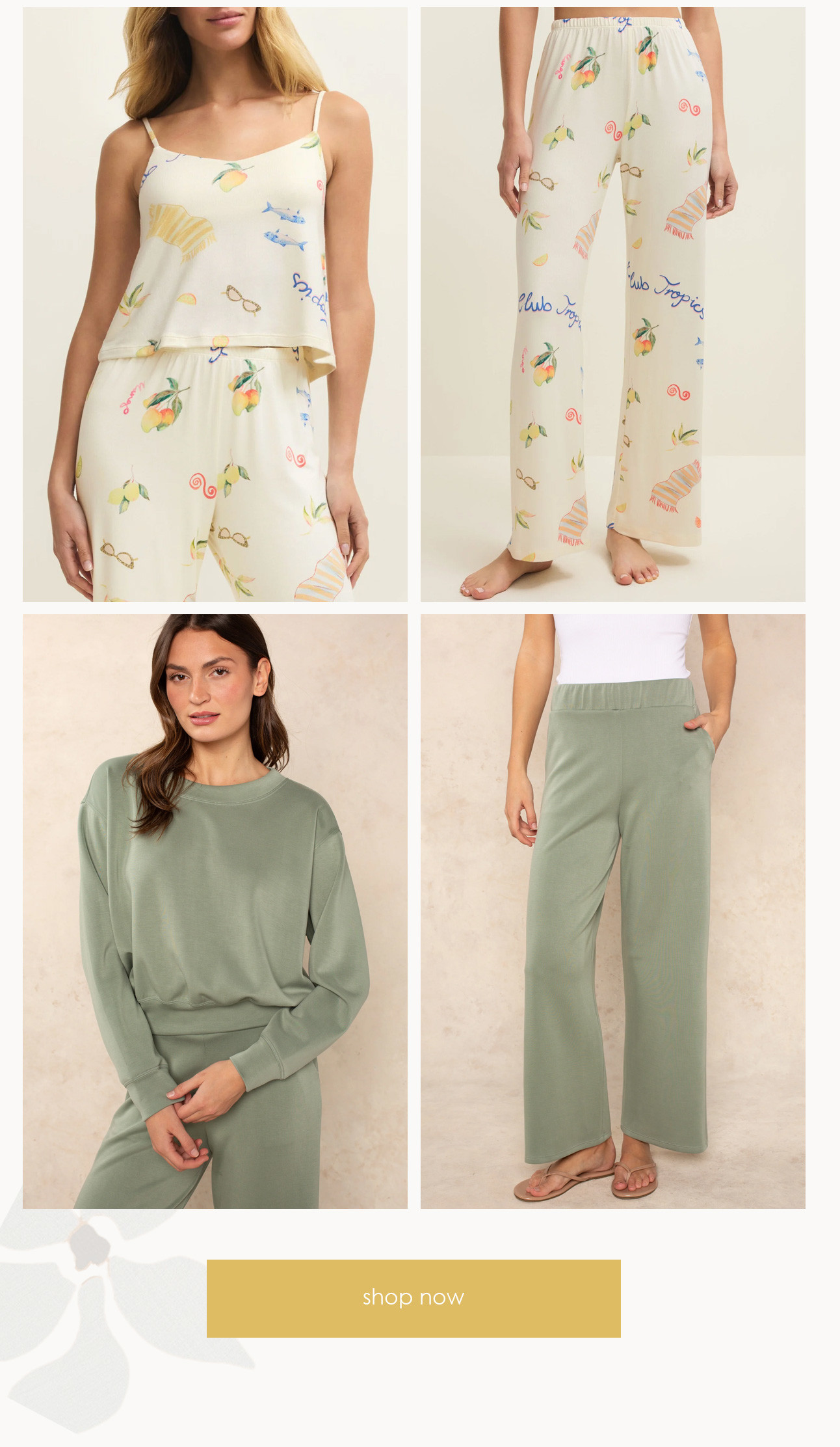shop now