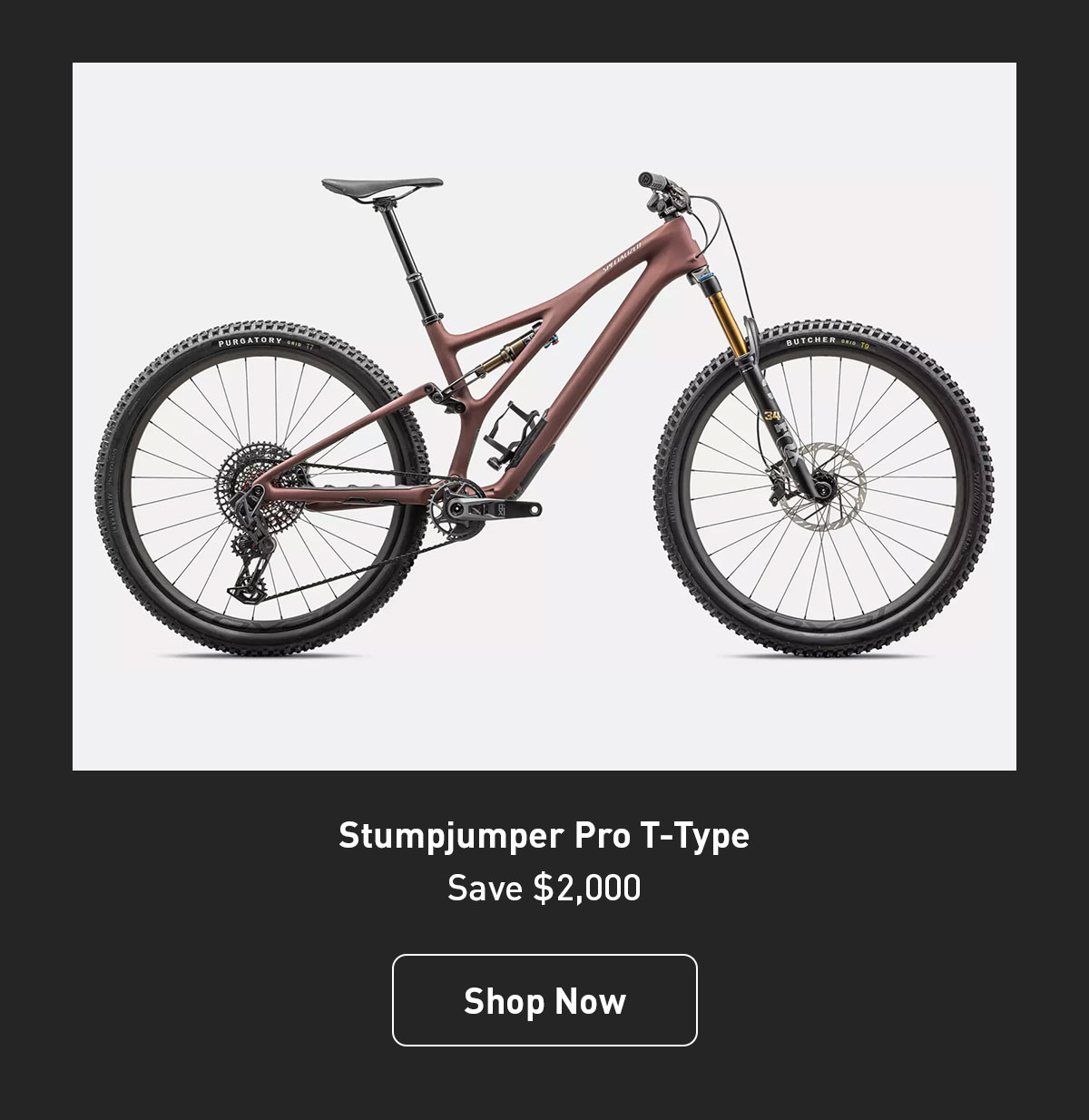 Stumpjumper Pro T-Type - Save $2,000