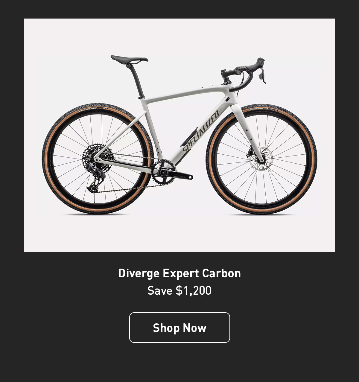 Diverge Expert Carbon - Save $1,200
