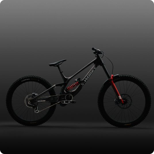 S-Works Demo 11