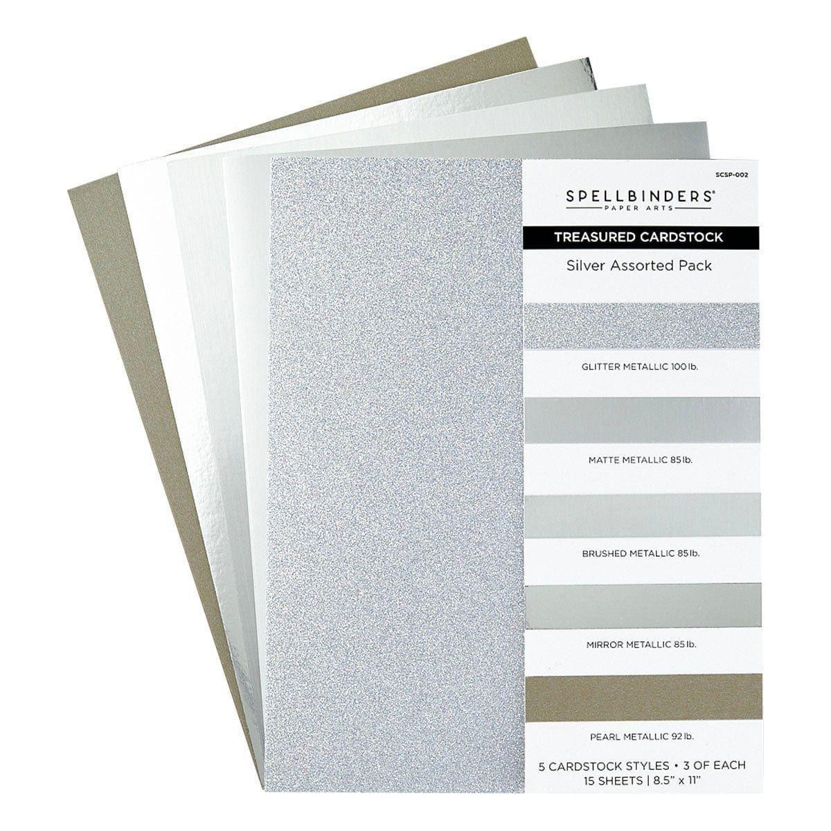Image of Silver Assortment Treasured Cardstock  8 1/2