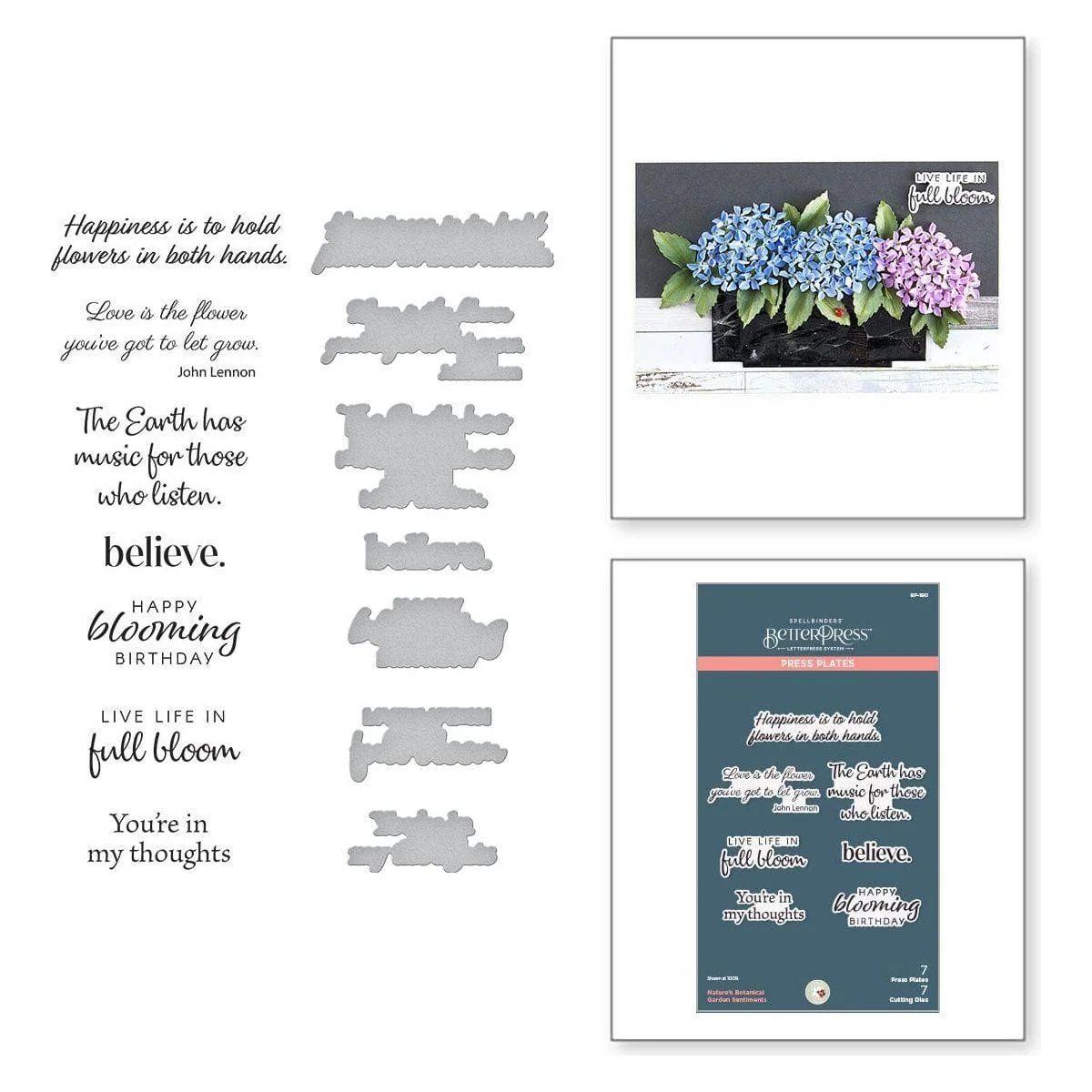 Image of Nature's Botanical Garden Sentiments Press Plate & Die Set from the Nature's Botanical Garden Collection by Susan Tierney-Cockburn