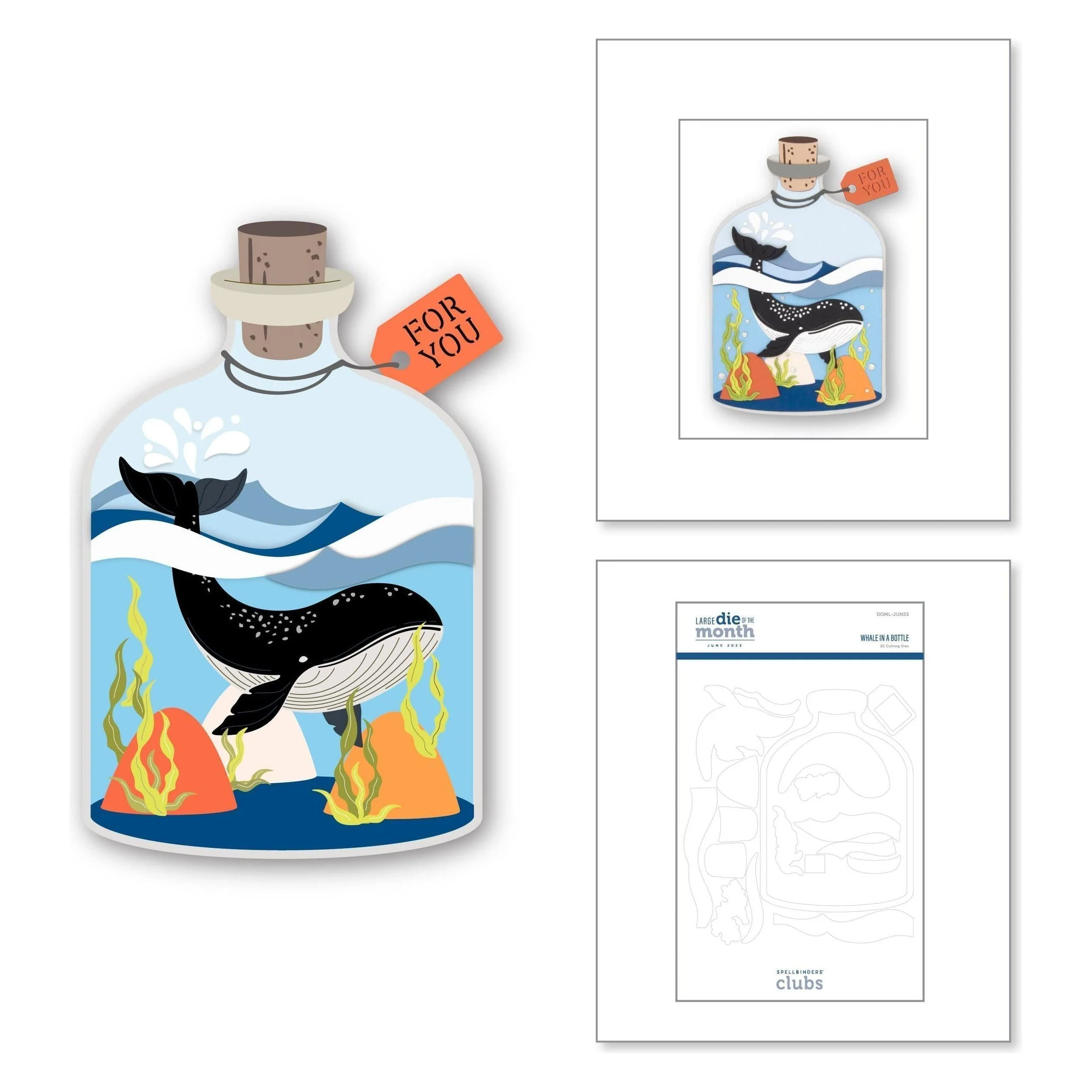 Image of Whale in a Bottle - Large Die of the Month