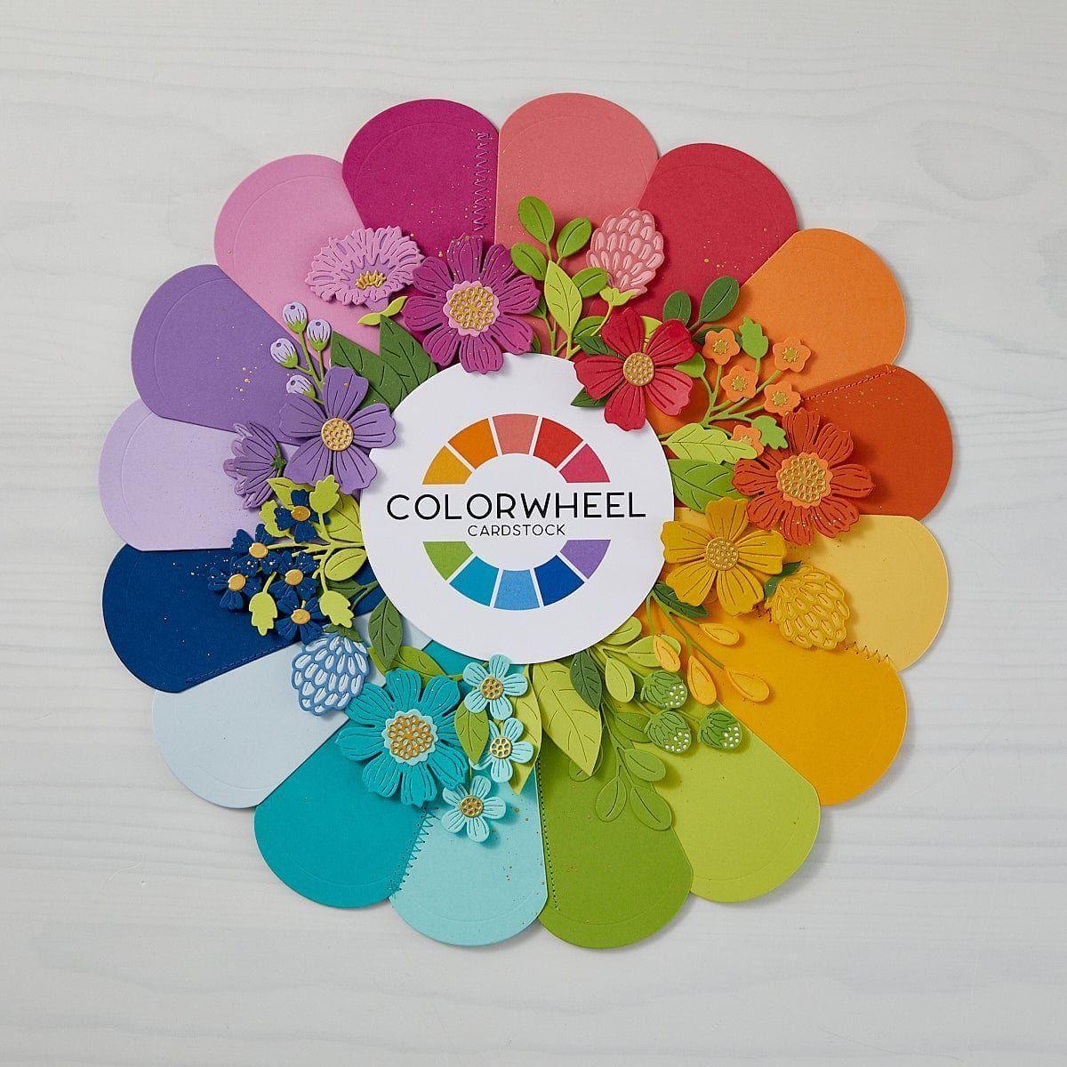 Image of Color Swatch Petal Etched Dies
