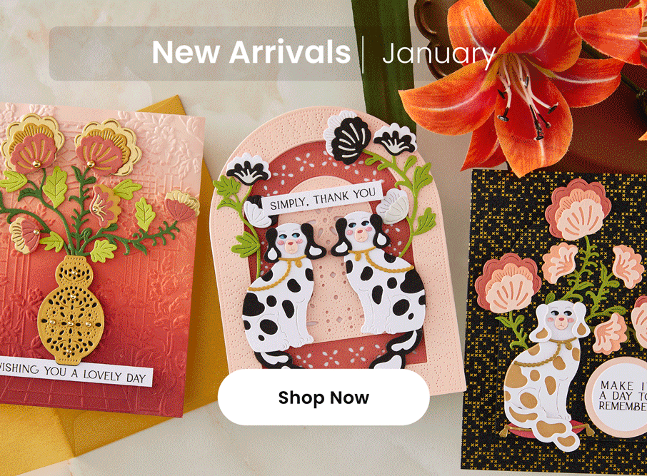 January New Arrivals