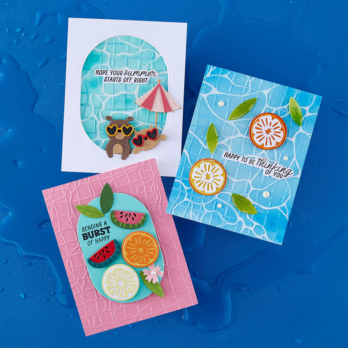 Image of Embossing Folder of the Month Membership (2D)