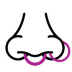  "Nose"