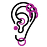 Ear