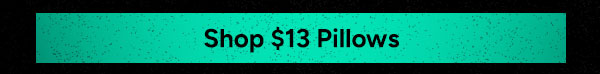 Shop $13 Pillows