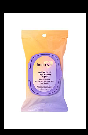 Antibacterial Toy Cleaning Wipes - Hott Love
