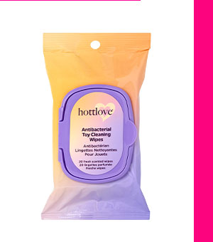Antibacterial Toy Cleaning Wipes - Hott Love