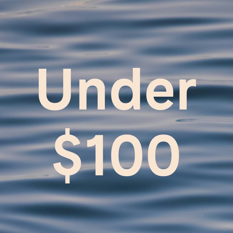 Gifts Under $100