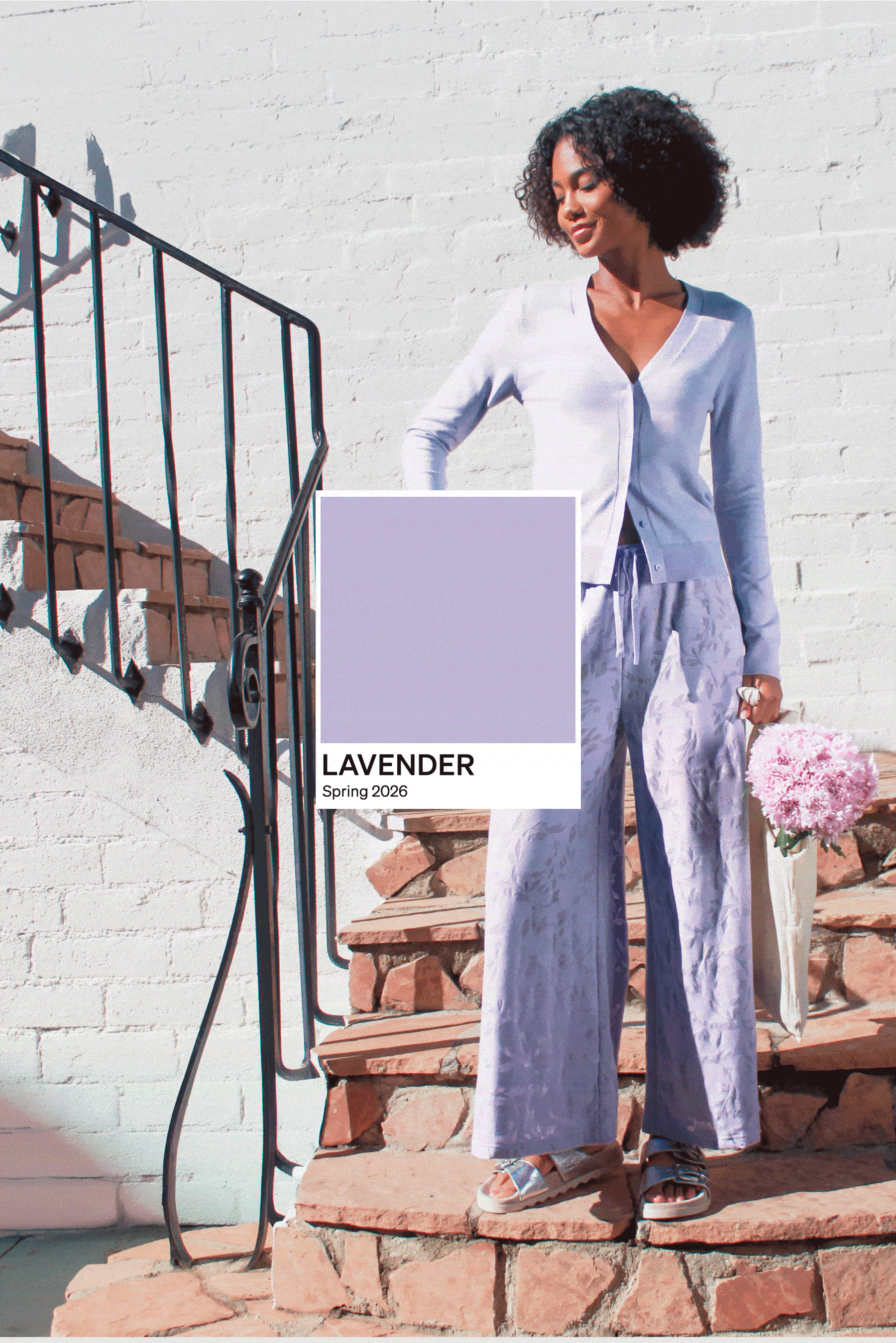 Shop Lavender Styles