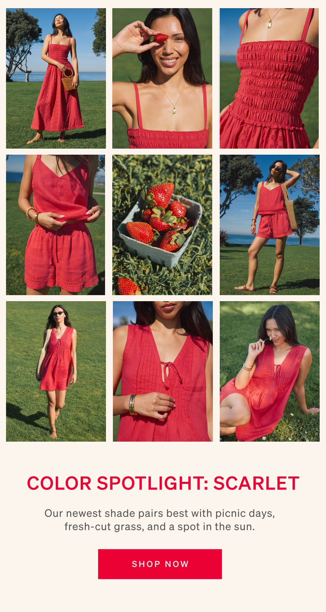 Shop Spring Colors