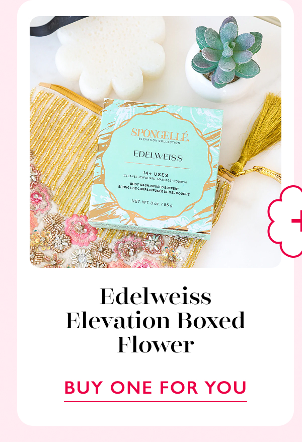 Edelweiss Elevation Boxed Flower | BUY ONE FOR YOU