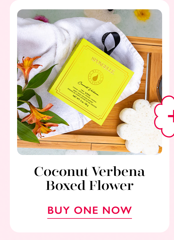 Coconut Verbena Boxed Flower | BUY ONE NOW