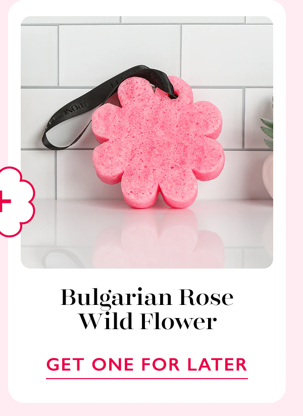 Bulgarian Rose Wild Flower | GET ONE FOR LATER