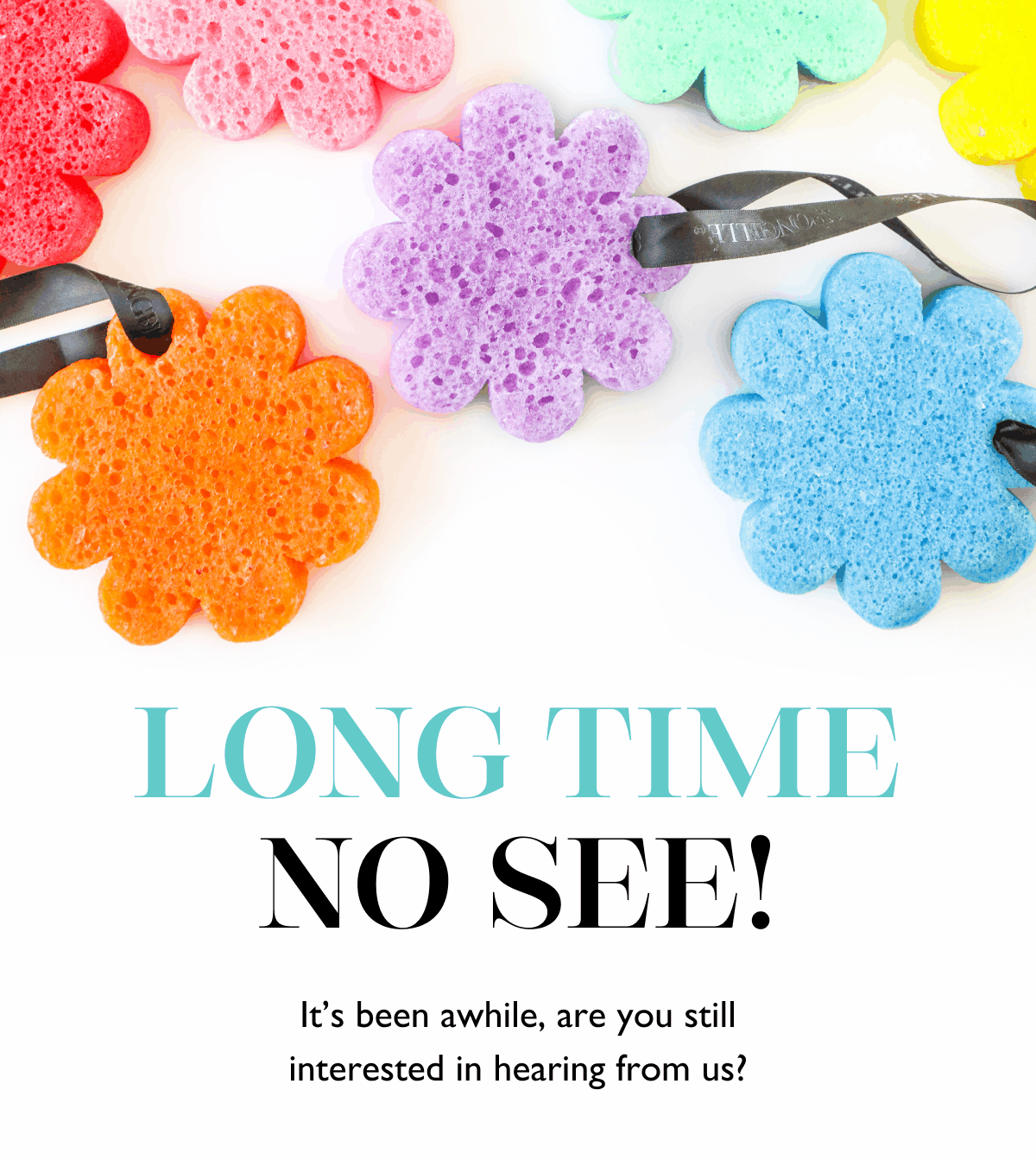 LONG TIME NO SEE! | It's been awhile, are you still interested in hearing from us?