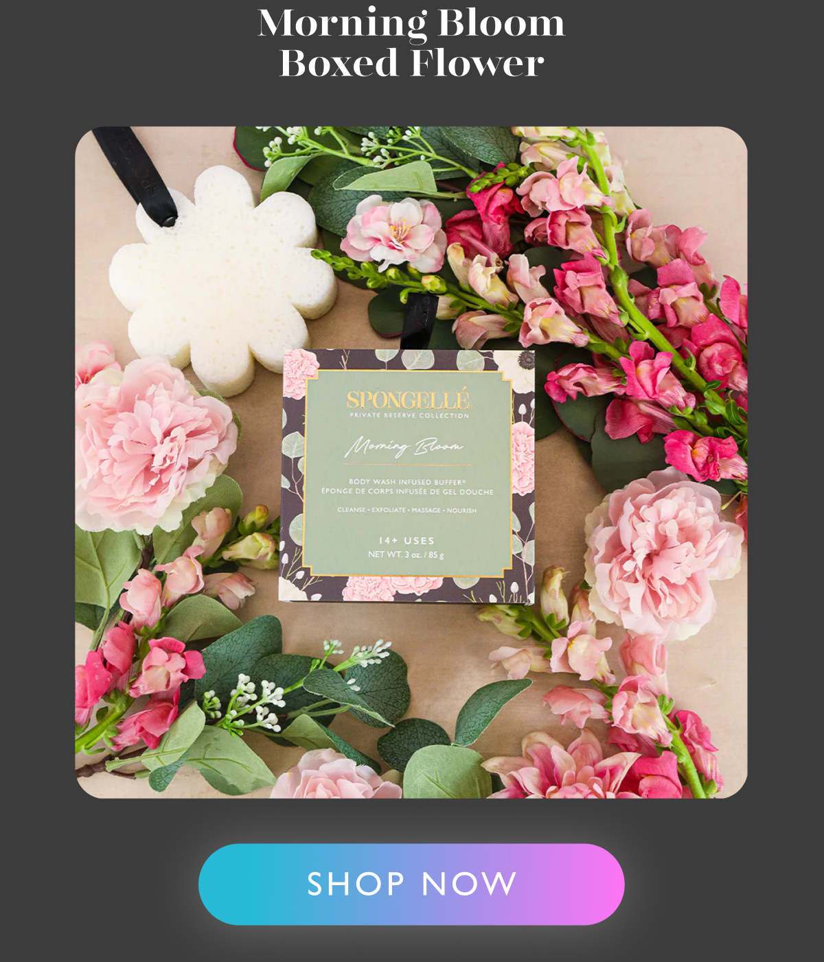 Morning Bloom | Boxed Flower Morning Bloom | Boxed Flower