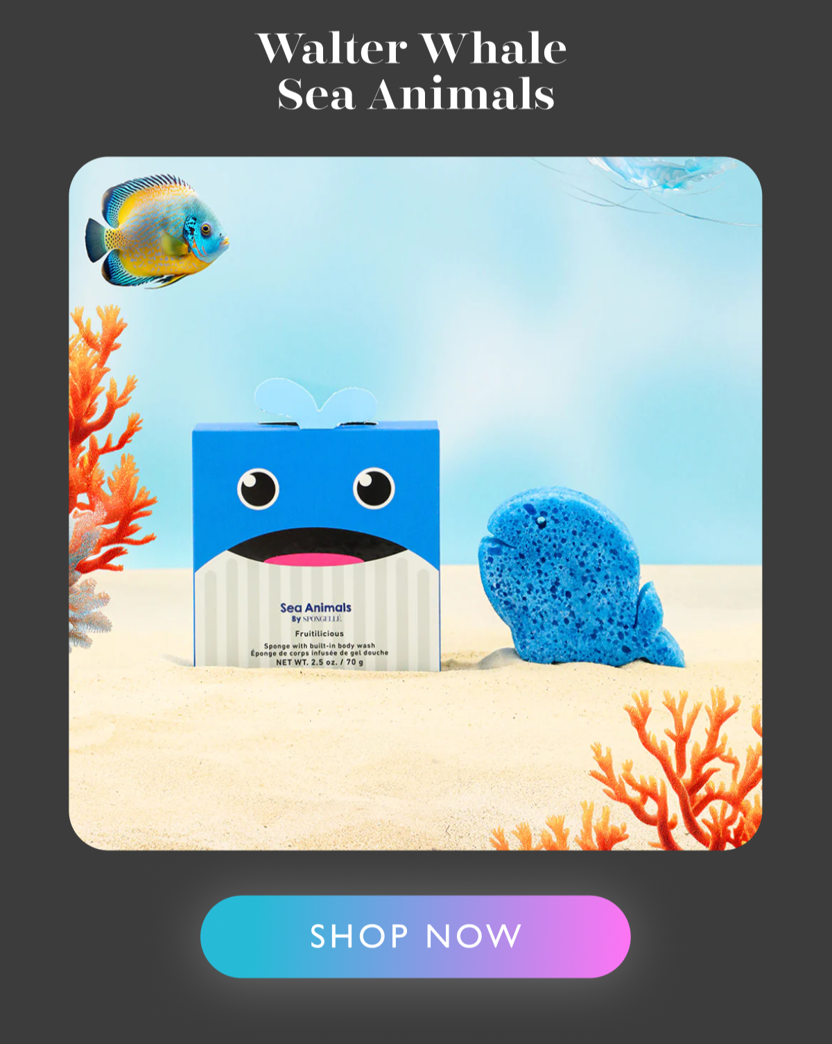 https://spongelle.com/products/walter-whale-sea-animals