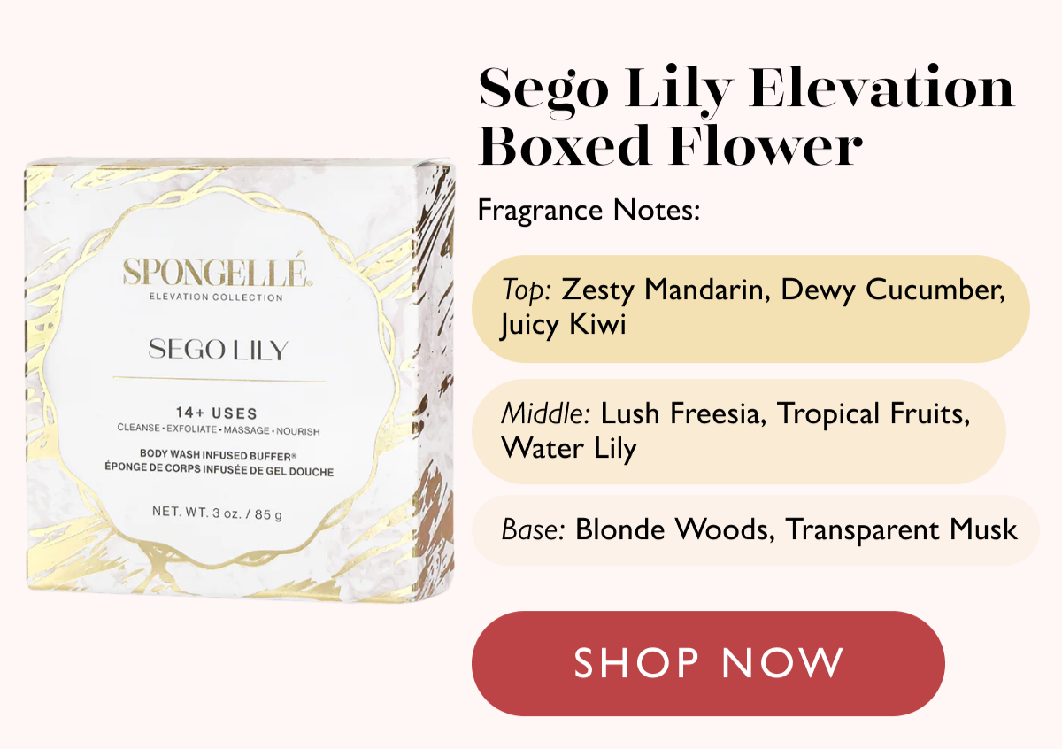Sego Lily Elevation Boxed Flower