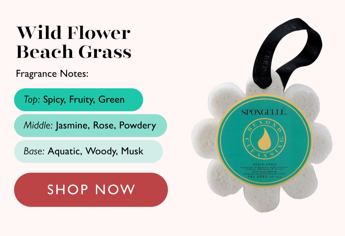 Wild Flower Beach Grass