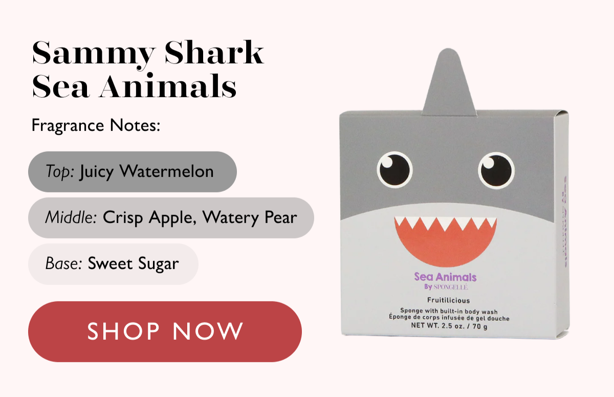 Sammy Shark  Sea Animals