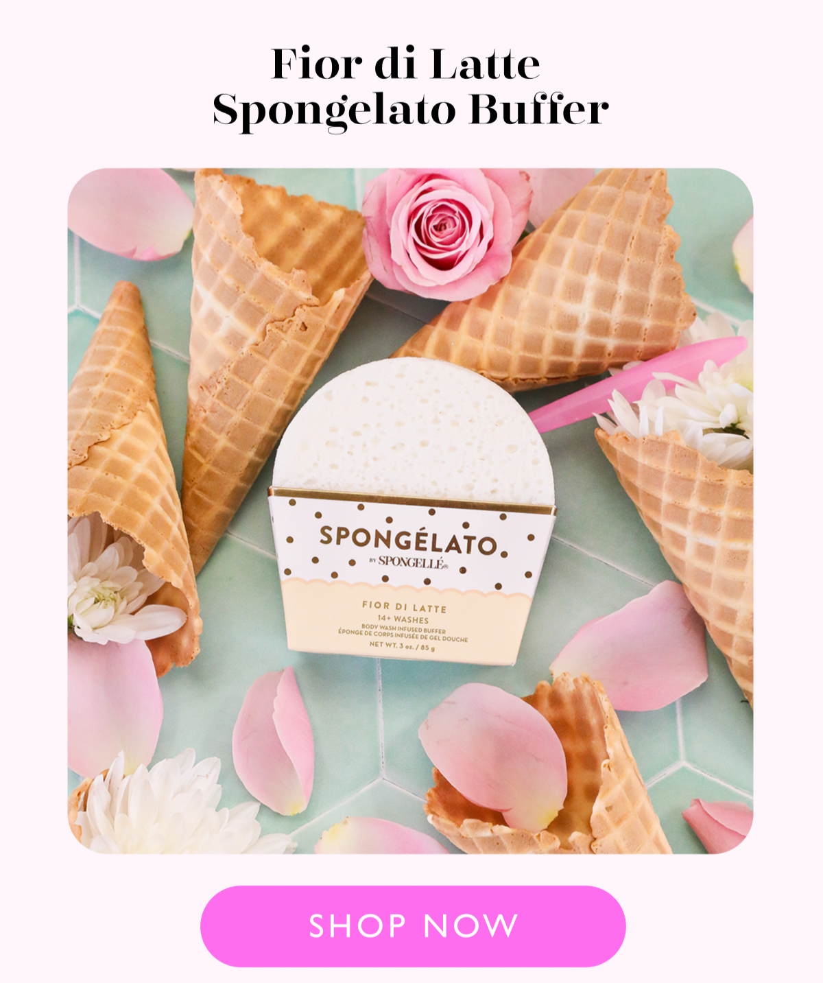 Fior di Latte  Spongelato Buffer