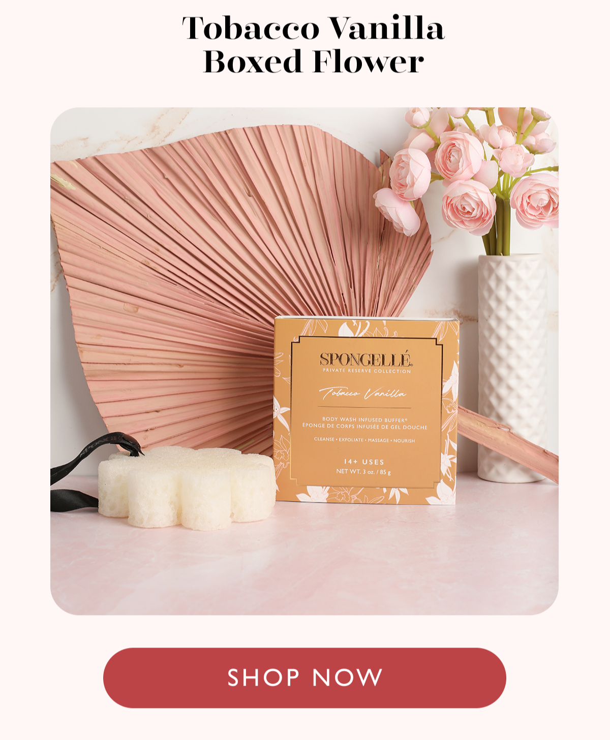 Tobacco Vanilla Boxed Flower
