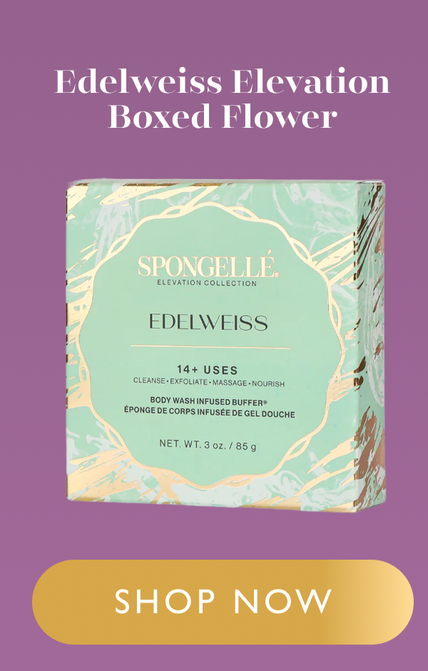Edelweiss Elevation Boxed Flower