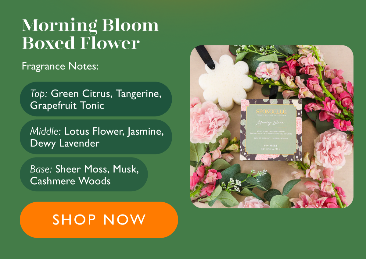 Morning Bloom | Boxed Flower