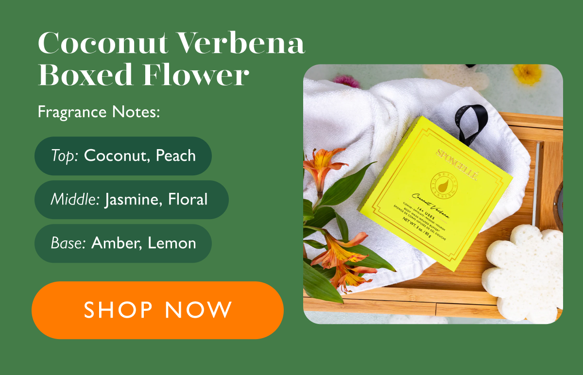 Coconut Verbena | Boxed Flower