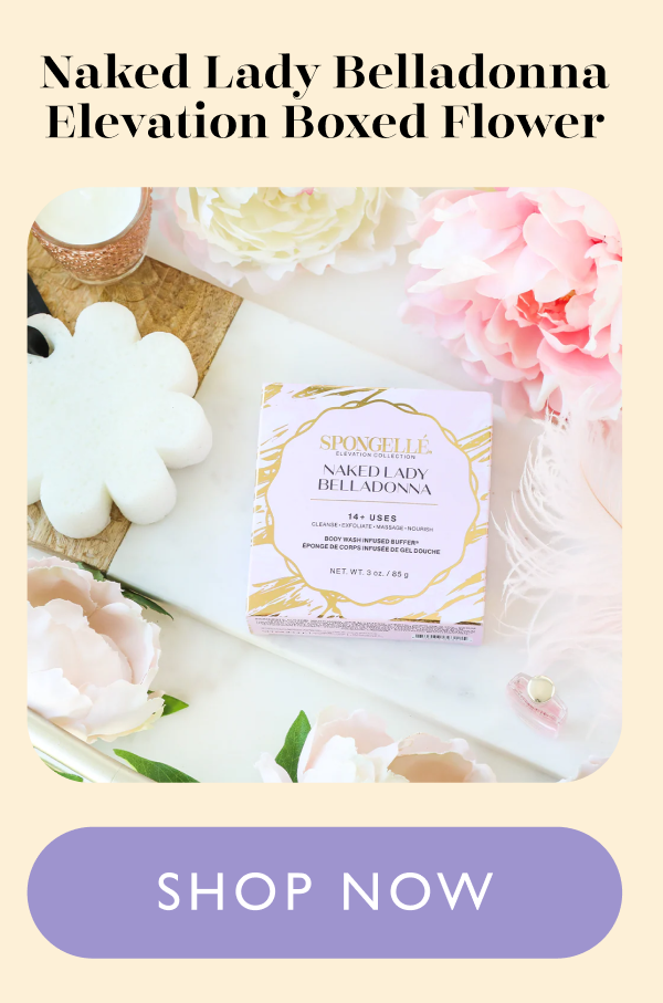 Naked Lady Belladonna Elevation Boxed Flower