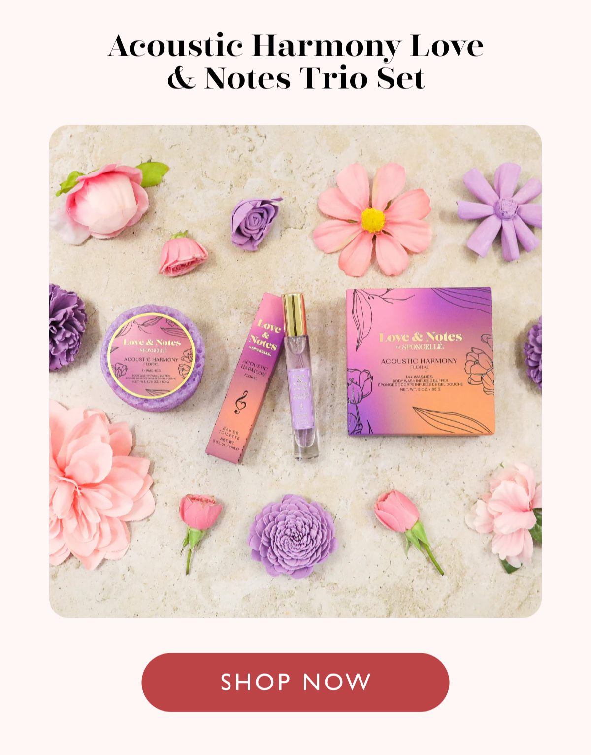 Acoustic Harmony Love & Notes Trio Set