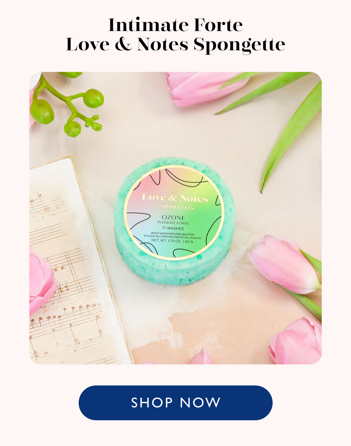 Intimate Forte Love & Notes Spongette