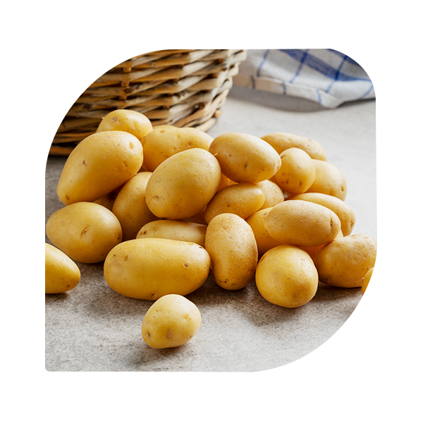 Fresh small potatoes close up for Sprinly