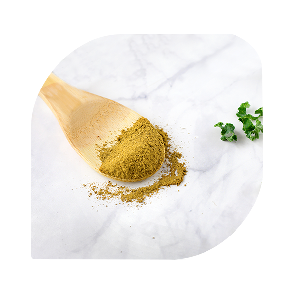 Turmeric in Wooden Spoon 