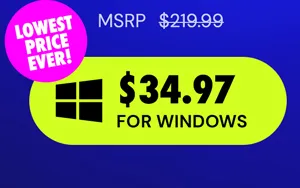 Microsoft Office Professional 2021 for Windows: Lifetime License