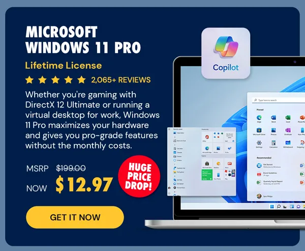 Microsoft Windows 11 Pro