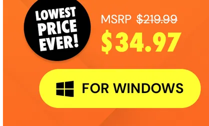 Microsoft Office Professional 2021 for Windows: Lifetime License